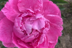 1_385D2C75-F798-40C0-81C0-57B6939B7EBB