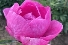 303E2189-AAD8-44E0-88D7-1D72608EB44A