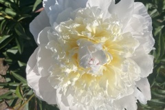 77730101-6858-4F52-809E-F35BBC0C0FF6