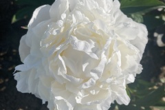 936FB1F8-E02A-4BE0-B264-8E1E9085788A