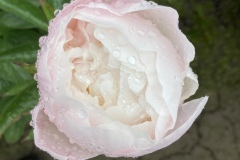 9498F947-C59F-4198-8458-A57AB4B005BB