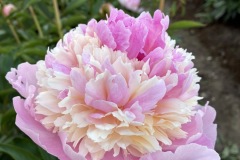 2CE3312C-9283-4897-9761-964C05BC98EF