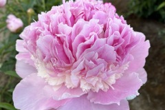 33CE0FE6-49AB-45A7-B7C5-63ADB9B93417