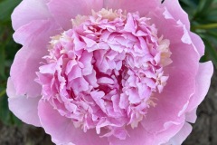 BB83095E-FFBB-47E2-945E-36BC28E80B1D