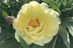 8DBCCECF-F960-4D15-8BB8-8B65E79718B9