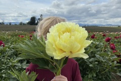 EEDCAE96-B45D-4767-A7A3-1ECA05F64E39