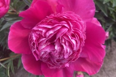 39F645C2-5BBF-4C57-91CD-566C9B02F94D