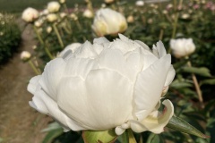 044C8DDC-0754-45DD-A108-6CA8752992F1