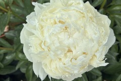 64F59966-EA6E-4DDD-9CD0-01D44608ADAD