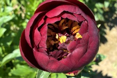 6ABB9D07-026B-4F82-897E-DD37F679C374