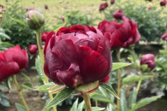 B79F95BC-405A-4409-A5D4-27F2E5F73064