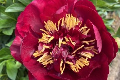 CC13B459-7EB6-4DCA-8C58-E776C01A7F3A