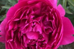 10683D79-1D44-45E5-B652-BD6A95D35C37