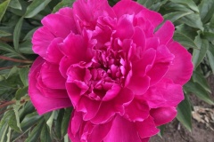 245CD194-D688-431F-8104-9C160CCF91E2