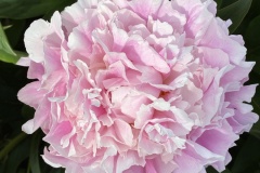 3992BE46-A35C-4819-8EF9-15192D56B3E5