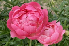 3246B731-BBE1-4302-998F-06CE4981BEA4