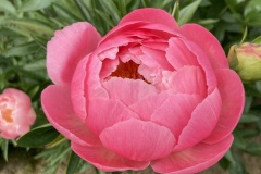 A4489260-719E-4995-ADE8-293CBB52747F