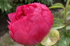 60ED1734-250E-4CC6-8D50-CDB0B5ADE145