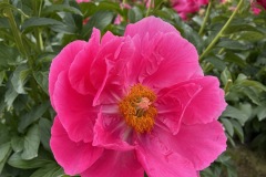 907D5A53-523B-4F42-8DAA-5F2363890941