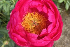 F7000F29-3EF1-4C36-8A67-E8262F9A4B69