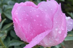 5F85F558-D0FF-450B-9E92-CAFE0D07918E