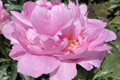 8F8FE929-4391-4165-A163-F40C8CF412DB