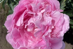 DB870E11-B2C7-4AC7-A9AA-560054A04ED2