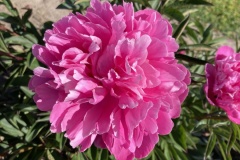 1_5AC3133C-9131-4848-B9BC-ADBFD00B6405