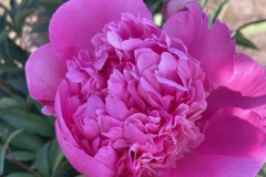 7CDF6364-83EF-4FC5-B02A-FD5FBD2B62E5