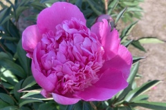 E15C302F-EB48-497F-8A7E-E78C69BAB80A