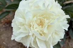 9B060F93-F0BE-4D98-BBD3-B124AB3D6C20