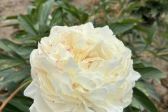 F84B9B13-4811-48DD-AE99-17C580385939