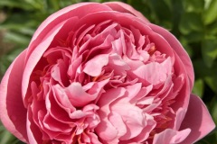 394451D3-6AB2-4507-B608-468F05C1BBCE