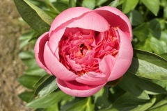 6E3FA6A8-BC5E-43E5-9F28-DD3817F88923