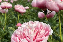 A9034125-848D-41B5-82C9-74655236596B