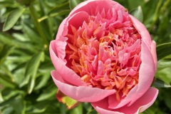 EB7F5374-074C-4DEA-89D0-D35EBB7463A6