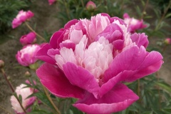 1ABC606F-BFFC-41F8-A210-25EA5BB5F0E1