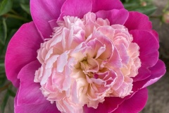 3C860465-A97A-4079-B8AE-29EAA60823A9