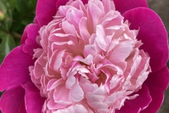 E78AD40D-333B-4F12-AF80-98F431F9940F