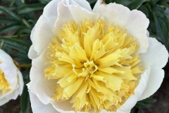 1_38EAE1C1-2980-4EE8-97E8-9B844AD15791