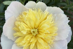 238ECE79-20EA-4A65-9F05-3A21E4F78C70