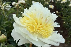 7954CE33-6389-45C3-ABE0-5987AE17CBDE