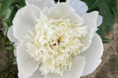 7F3491D8-C945-4B4F-A9CB-AA347AD2A220