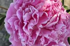 143EEEBF-F4E5-4EAD-B83D-AAF8531ADFAA