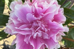 7EB162EA-53CA-4760-A729-4773DE05F481