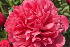 C9495489-A4CD-4319-9787-F8D1FFEEA46F