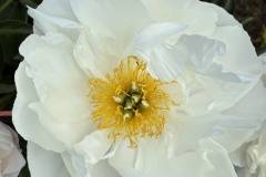 981E657A-920C-43A3-898A-47769A0034F9