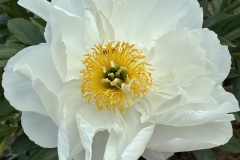 F9BED69C-5600-4A5C-ACC4-5737F9AA0AF5