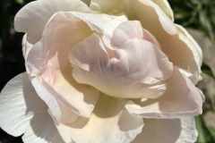 2784C7AA-78F2-47AA-B4A5-32F0BCF3F329