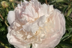 AD43D993-B029-4C57-A278-CBCE8B06B90C